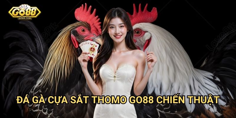 Đá gà cựa sắt Thomo Go88 - Môn thể thao truyền thống 3 Đá gà cựa sắt Thomo Go88 - Chiến thuật