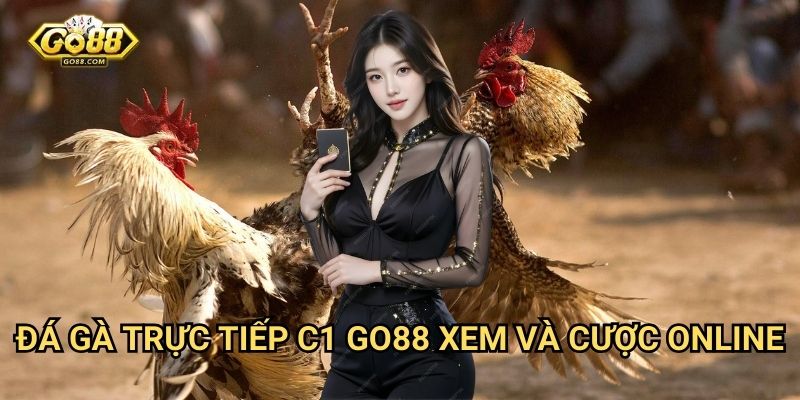 Đá gà trực tiếp C1 Go88 - Giải đấu đỉnh cao 3 Đá gà trực tiếp C1 Go88 - Xem và cược online