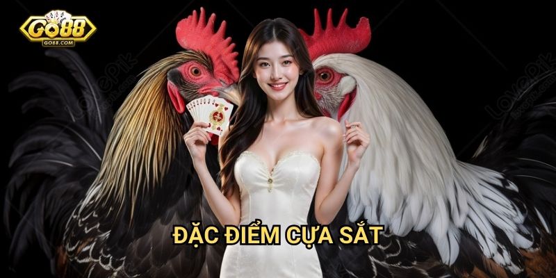Đá gà cựa sắt Thomo Go88 - Môn thể thao truyền thống 2 Đặc điểm cựa sắt