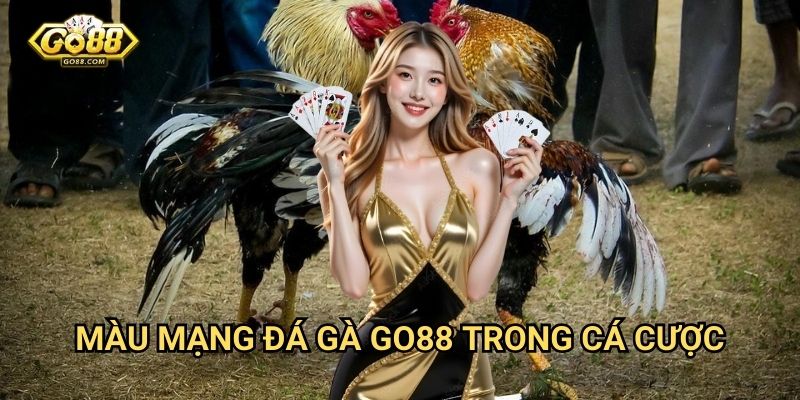 Màu mạng đá gà Go88 - Phân loại chi tiết 3 Màu mạng đá gà Go88 trong cá cược